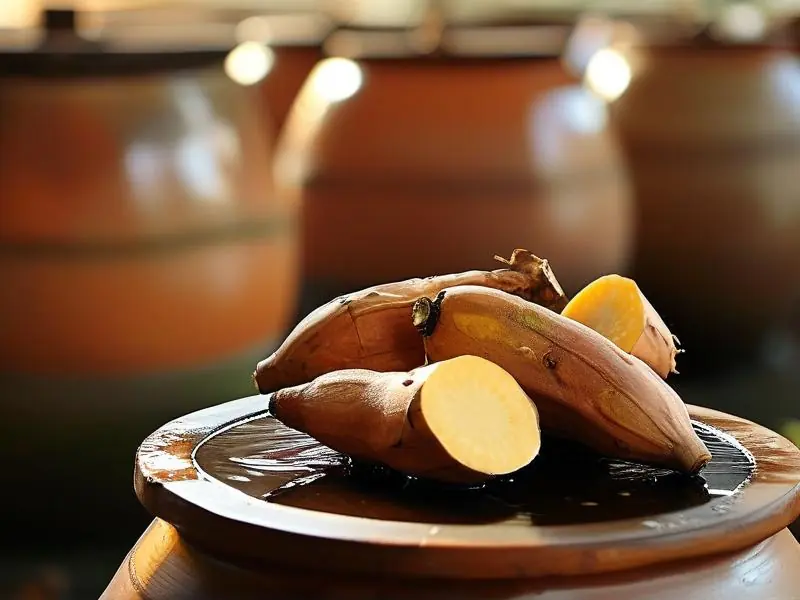 木薯原料处理与发酵设备实拍图