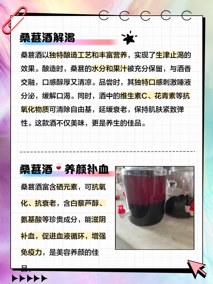 卡宾达树皮与桑葚家庭泡酒制作场景：透明玻璃罐中的深紫红色酒液，旁边是原料桑葚和树皮切片。_1