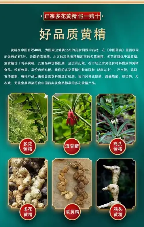 透明泡酒罐中黄精与金黄酒液的特写，搭配黄精原料和手写比例纸条，展示黄精泡酒的制作过程。_1