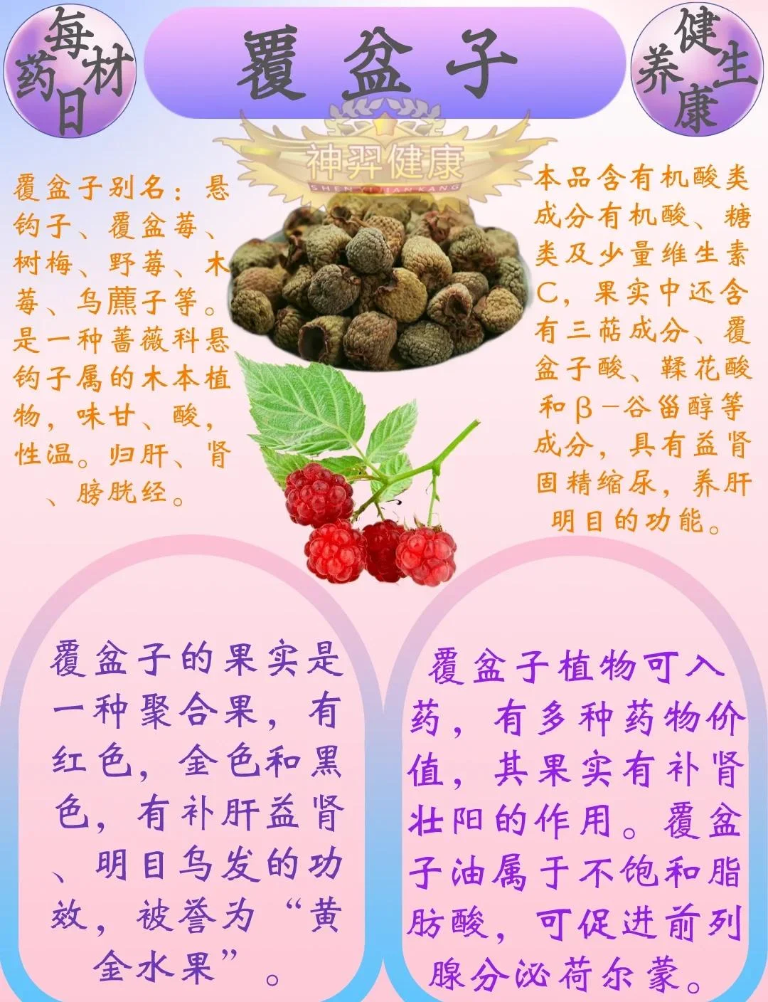 家庭自制覆盆子泡酒成品图：玻璃罐中深红色酒液浸泡着饱满果实，旁边散落新鲜覆盆子，氛围温馨治愈_1