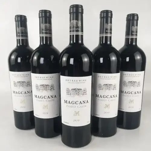 家庭自酿红葡萄酒发酵过程特写：玻璃罐中深紫色酒液与漂浮的葡萄皮，旁边是新鲜葡萄和酿造工具_1