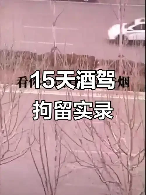 酒驾拘留反思场景：拘留室内部，晨光下的警示标语_1