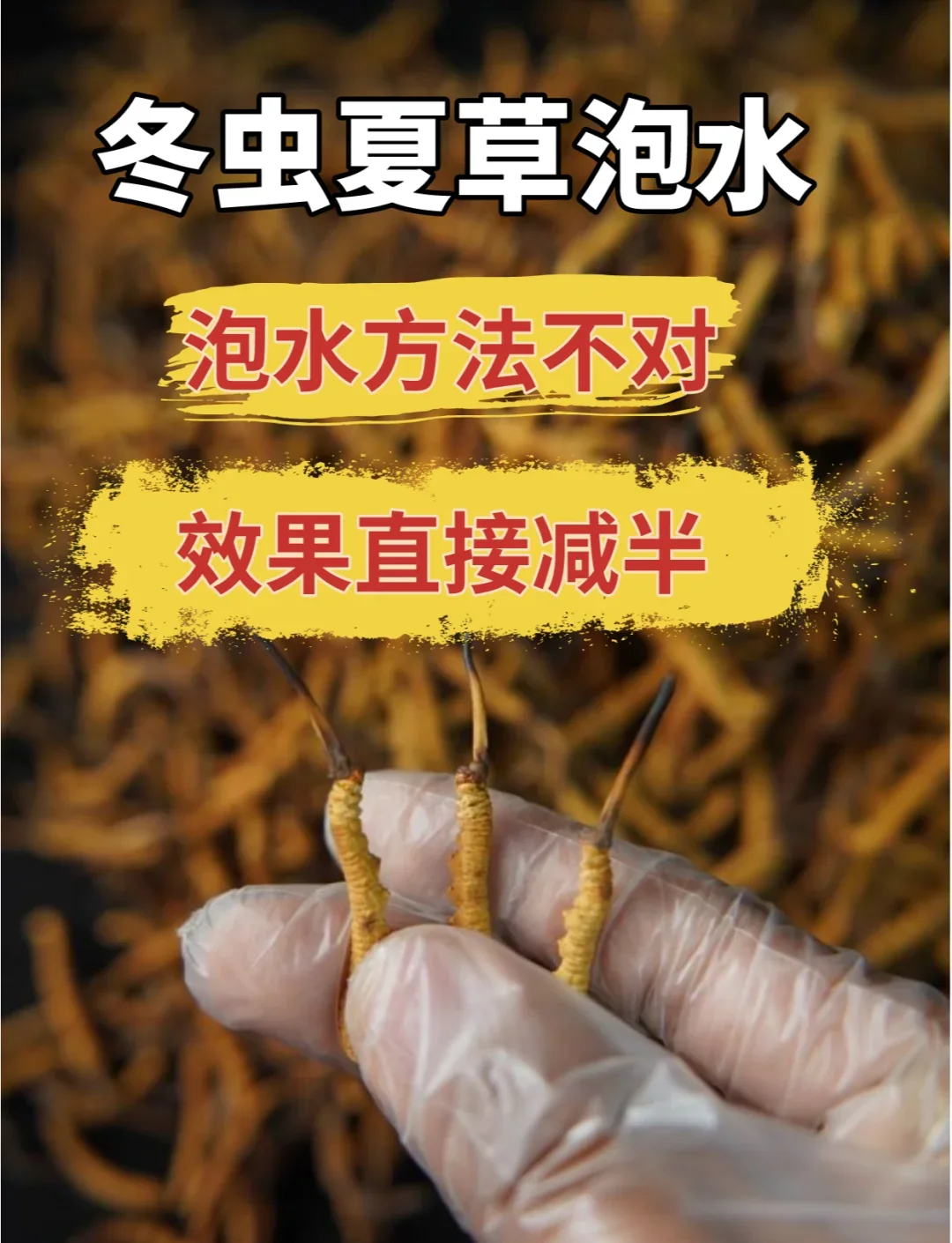 泡制中的虫草酒特写，展示虫草在酒液中的状态和合适的容器_1