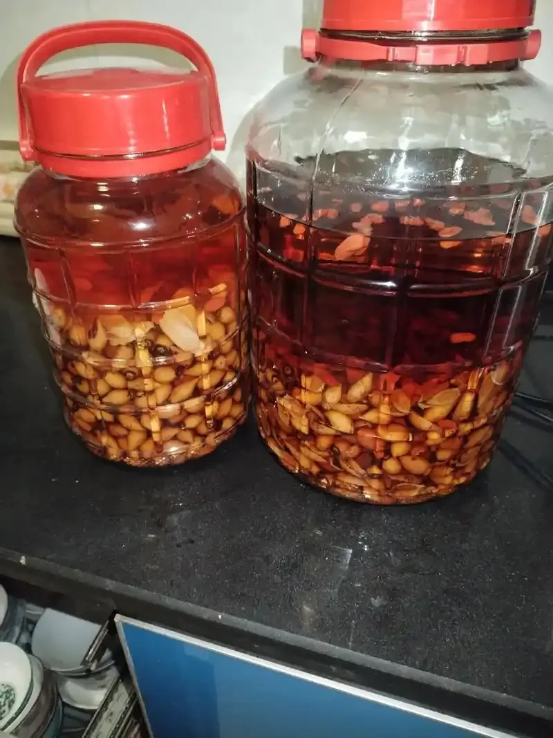 新鲜金樱子与阴干金樱子对比，以及一坛正在浸泡中的金樱子酒，展示不同处理方式的视觉差异_1