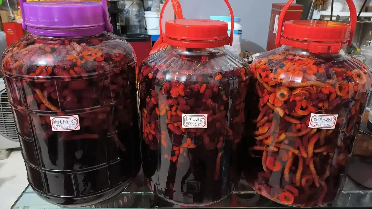 家庭温馨场景下的桑葚泡酒品鉴，深红色酒液在玻璃杯中晶莹剔透_1