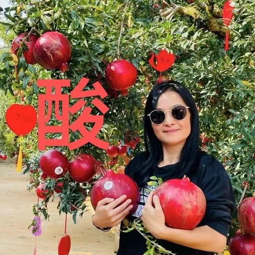 家庭自制酸石榴泡酒过程展示：玻璃罐中深红色石榴果粒与宝石红酒液_1