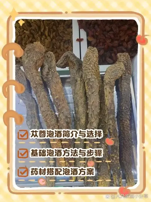 家庭自酿鲜苁蓉酒实拍图：玻璃罐中金黄酒液与苁蓉切片清晰可见，旁边摆放着枸杞和红枣等配料。_1