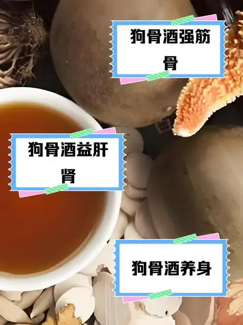 专业酿酒师工作台，展示狗骨浸泡于透明玻璃罐琥珀色药酒中的成品效果_1