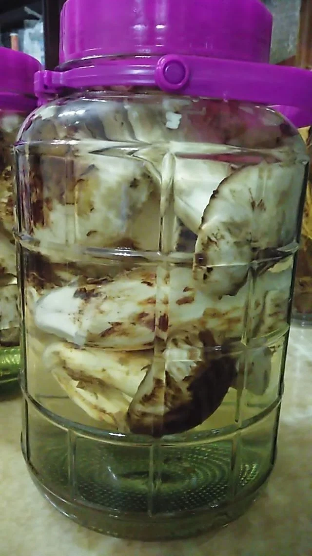 一瓶正在浸泡中的松茸酒特写，瓶中可见完整的干松茸和琥珀色酒液，旁边摆放着制作工具和原料。_1