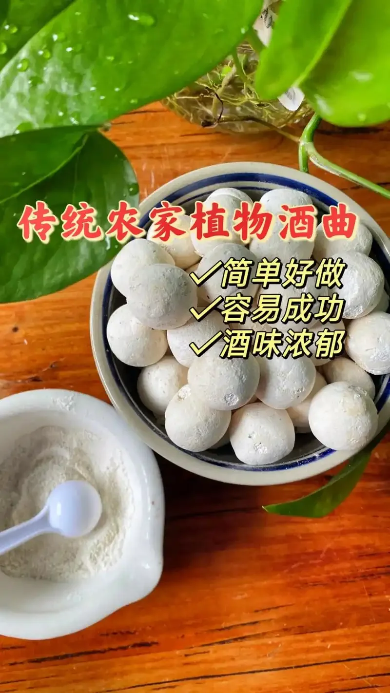 酿酒师在酒坊中检查一块布满菌丝的大曲，工作台上散落着制曲原料_1