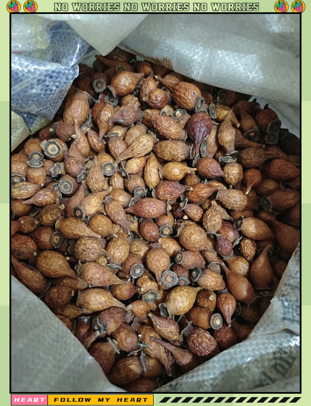 金刚藤与金樱子泡酒实景图：玻璃罐中浸泡着药材，旁边摆放着原料，展示传统药酒制作过程。_1