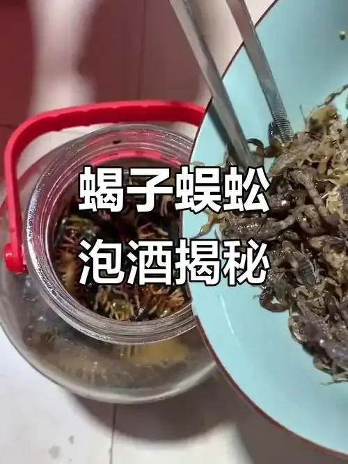 用于泡酒的干净蝎子与透明玻璃酒罐、红枣、枸杞的静物摆放照片_1