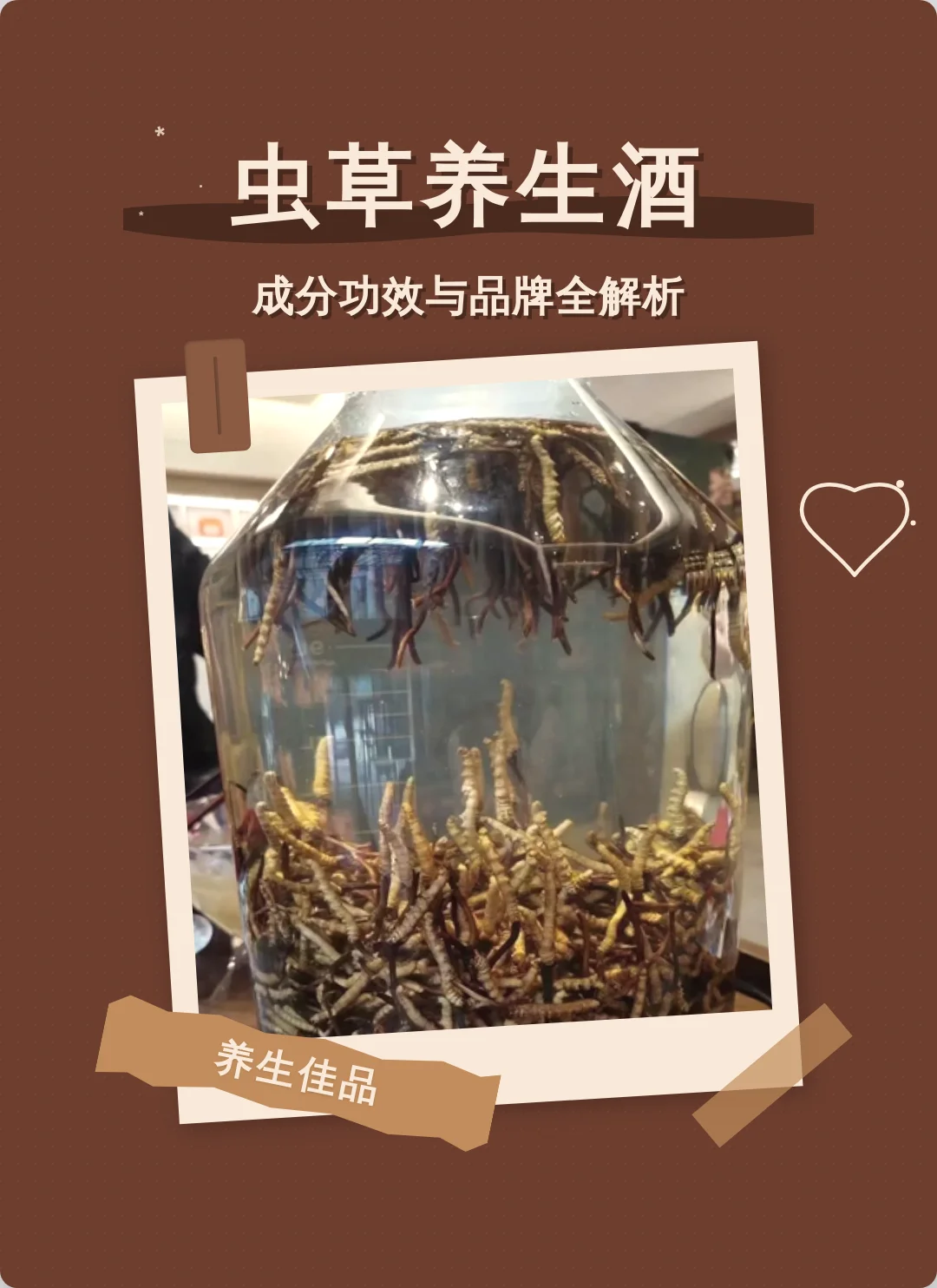 酿酒师在作坊中调制虫草泡酒，展示琥珀色酒液与完整虫草_1