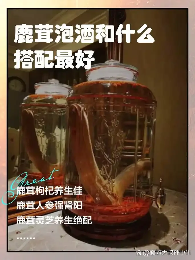 鹿茸泡酒过程展示：玻璃罐中正在浸泡的鹿茸片、枸杞与酒液_1