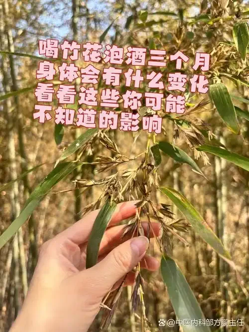 一坛泡制好的中药竹花酒特写，酒液清澈，竹花形态完整，旁边摆放着竹花原料。_1