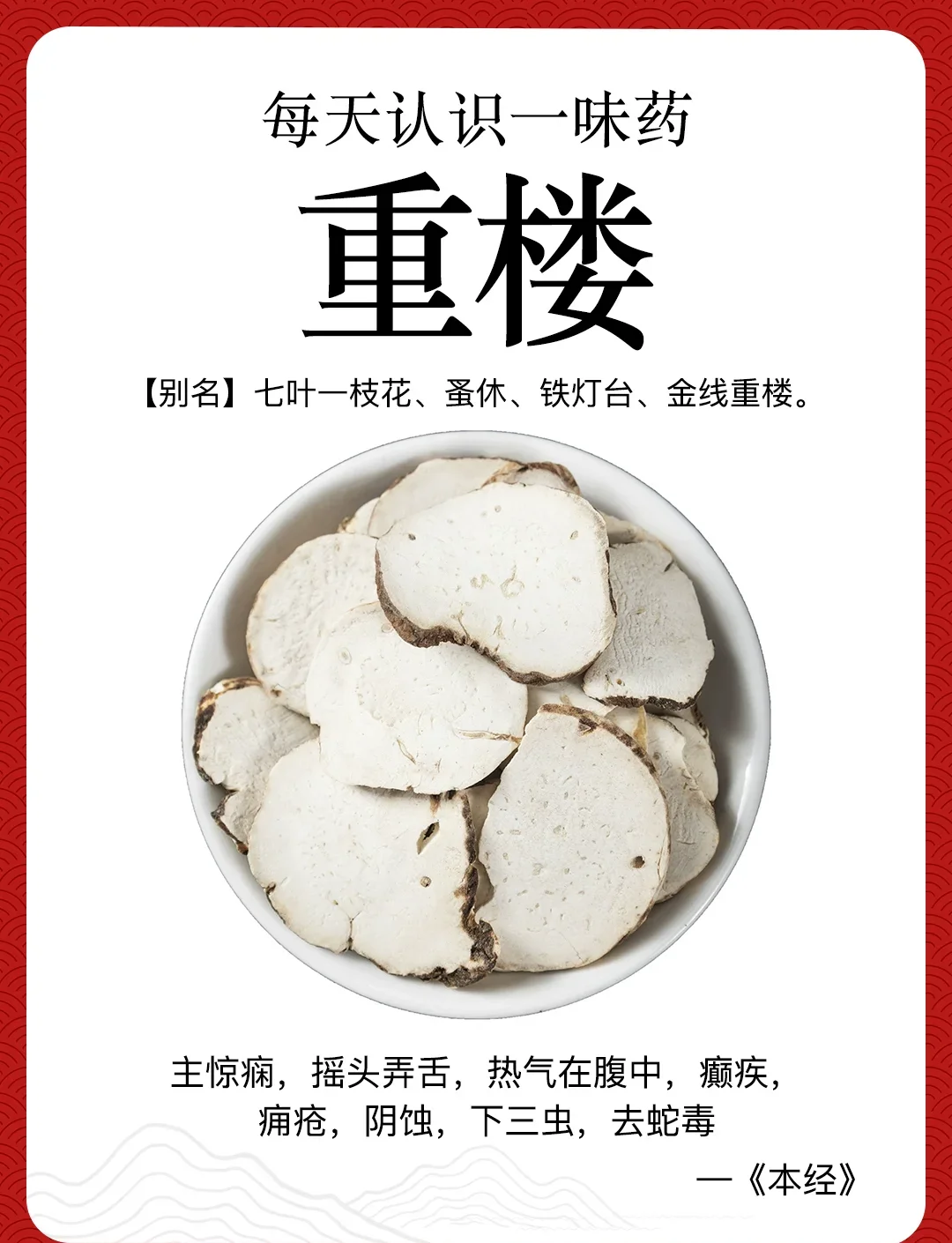 重楼泡酒所需材料与容器展示：陶瓷酒坛、处理好的重楼根茎、白酒和测量工具_1