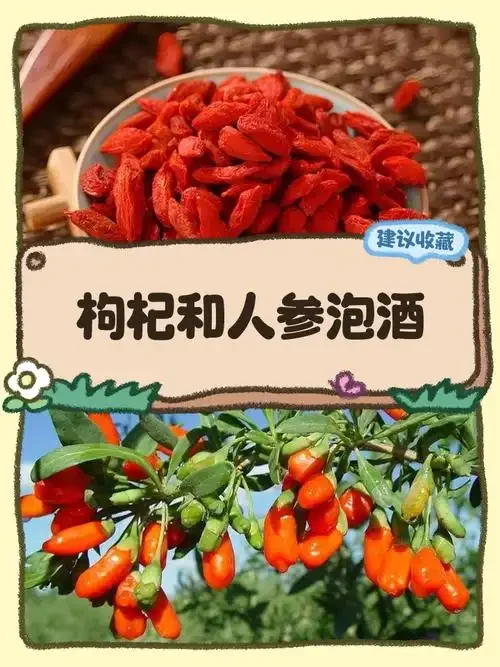 人参、西洋参和枸杞在透明玻璃罐中泡酒的静物特写，展示传统养生酒的泡制过程。_1
