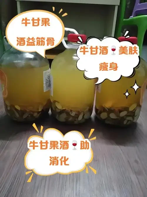 专业酿酒师泡制牛角酒的工作台特写，展示干净牛角块与高度白酒的浸泡状态_1