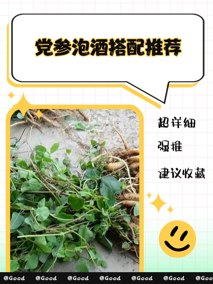 党参黄芪泡酒制作现场：玻璃罐中琥珀色酒液浸泡着药材，旁边有称量工具和手写笔记_1