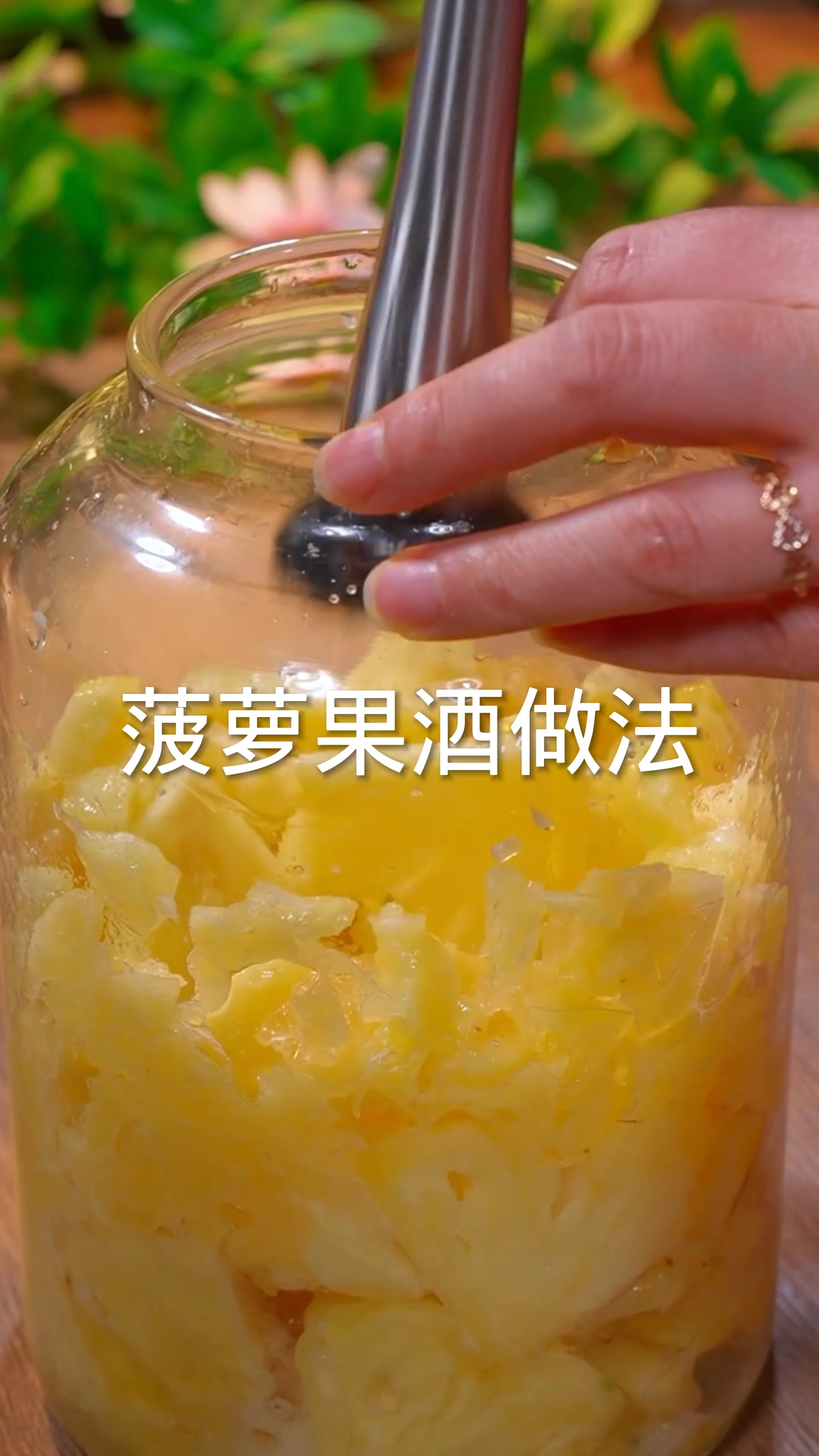 家庭自酿菠萝泡酒过程展示，透明玻璃罐中金黄的菠萝块与清澈酒液正在发酵，旁边摆放着新鲜菠萝、冰糖等原料。_1