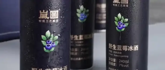 家庭自酿蓝莓果酒过程：透明发酵罐中的蓝紫色酒液与新鲜蓝莓_1