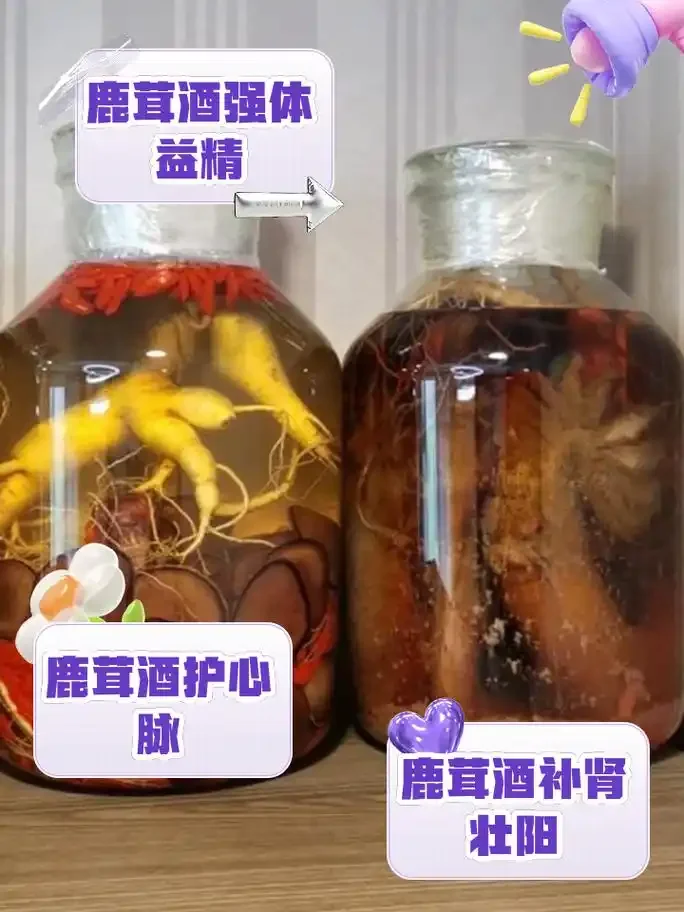 泡在玻璃酒坛中的鹿茸切片药酒特写，酒液呈琥珀色，清晰可见鹿茸和枸杞等药材。_1