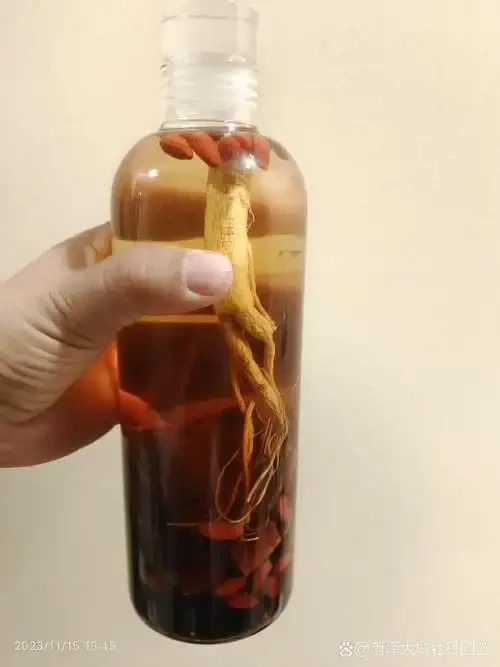 人参鹿茸枸杞天麻泡酒过程特写：玻璃罐中四种药材在白酒中清晰可见_1