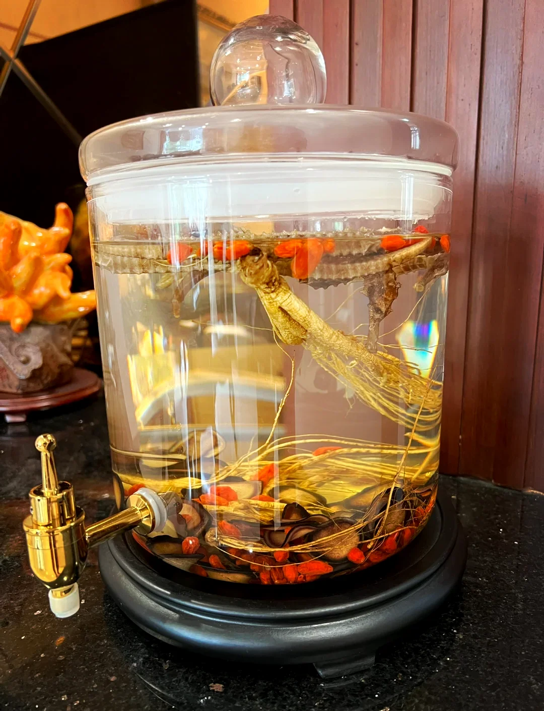 鹿鞭海马泡酒材料展示：透明玻璃瓶内装有鹿鞭、海马、枸杞和红枣，浸泡在白酒中。_1