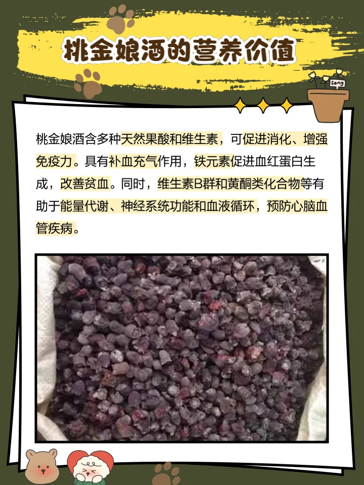 自制稔子酒成品展示：透明玻璃瓶中装着深紫红色的酒液与稔子果，旁边是新鲜稔子、冰糖和基酒。_1