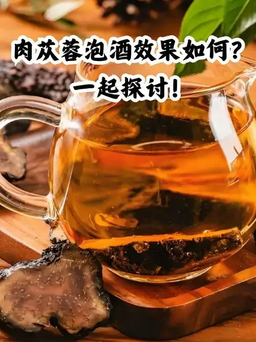 肉苁蓉泡酒制作过程展示：透明玻璃罐中金黄酒液浸泡着肉苁蓉、枸杞等药材，旁边散落着原料与酒具。_1