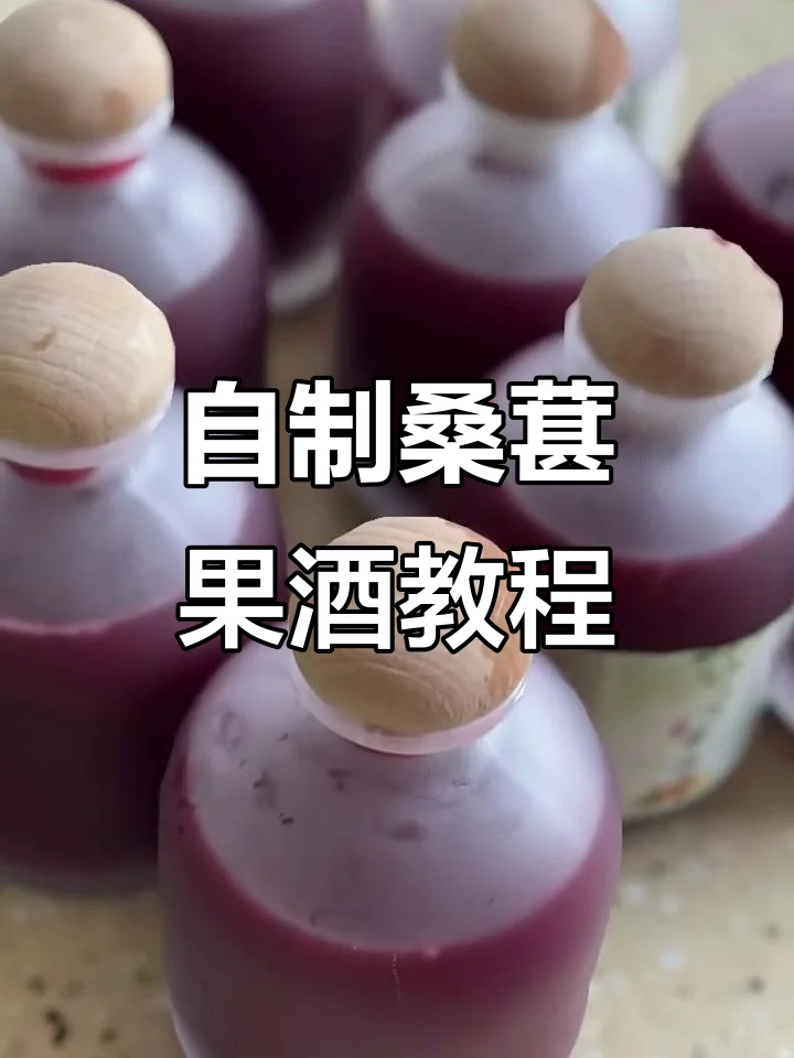 家庭自制桑葚酒发酵过程特写，紫红色桑葚在透明玻璃罐中与酒液混合，旁边散落新鲜桑葚果实。_1