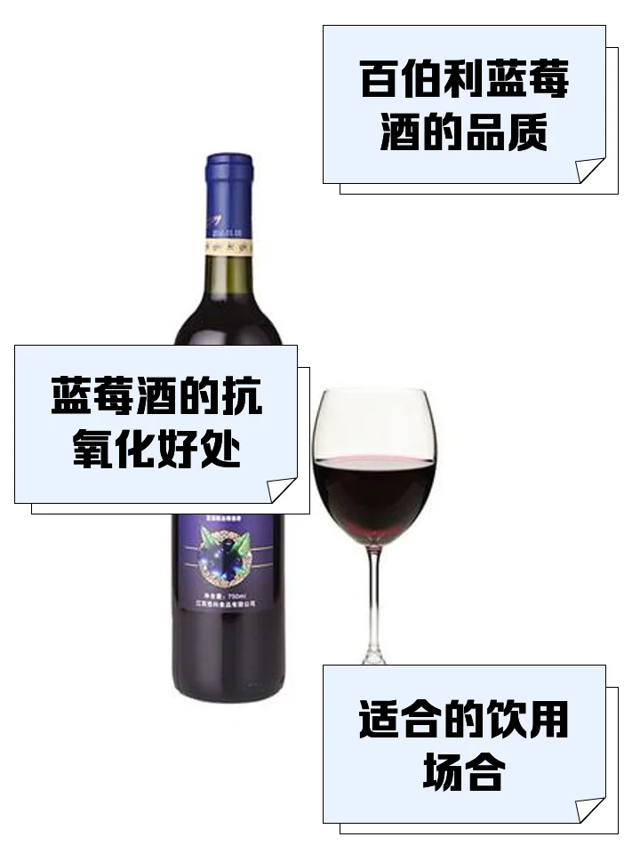 家庭酿造蓝莓酒第一步：将精选的新鲜蓝莓放入玻璃罐中准备发酵_1
