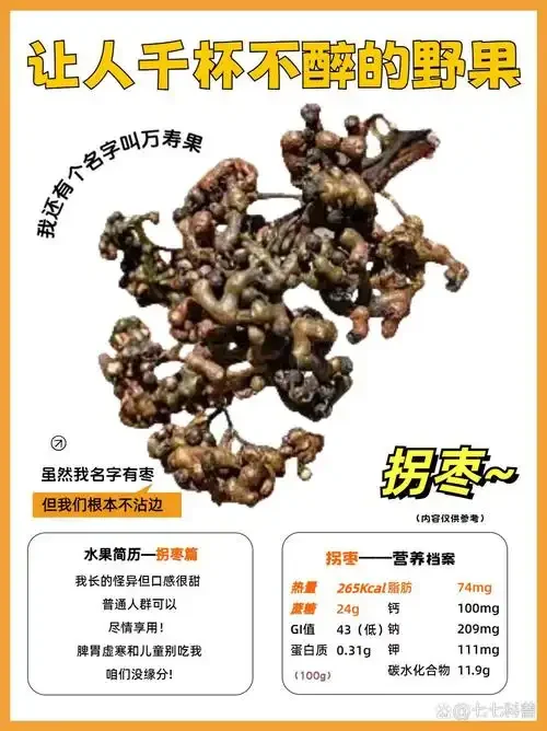 一瓶自制的琥珀色拐枣泡酒特写，拐枣果实在酒液中清晰可见_1