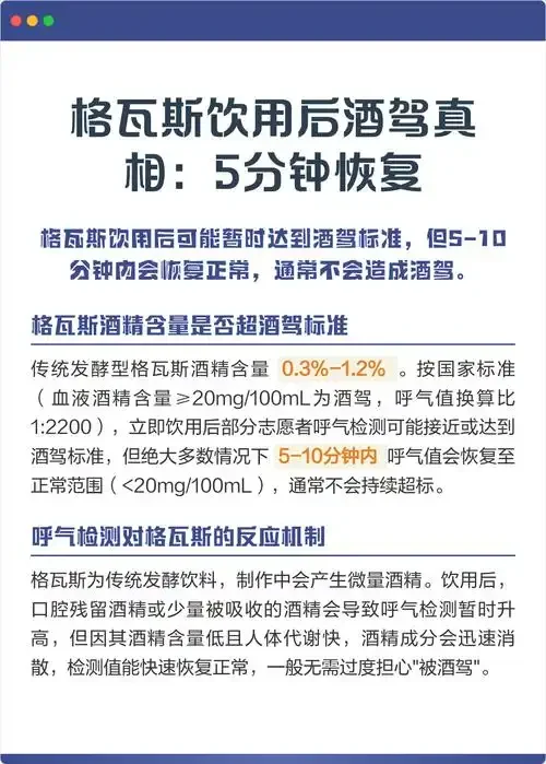 一名司机在夜间因酒驾被交警拦下进行酒精测试的现场场景_1