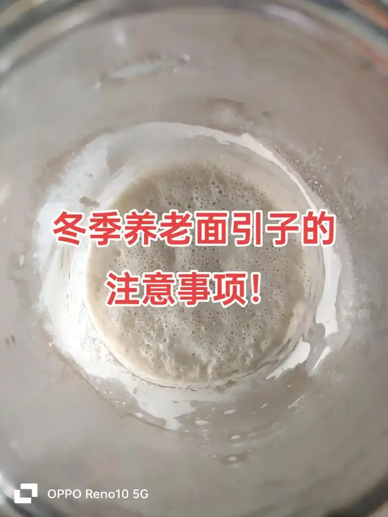 厨房案板上，一碗用米酒发酵的自制老面，表面充满活跃的气泡，旁边是米酒和面粉。_1
