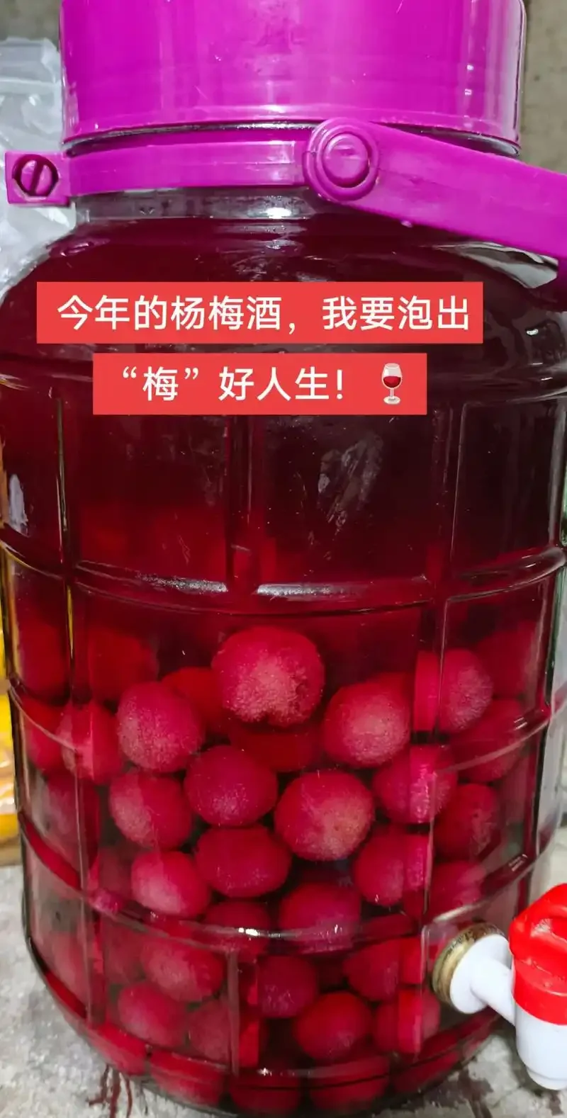 家庭自制杨梅酒：玻璃罐中鲜红杨梅与琥珀色酒液正在浸泡，旁边是新鲜杨梅和冰糖。_1