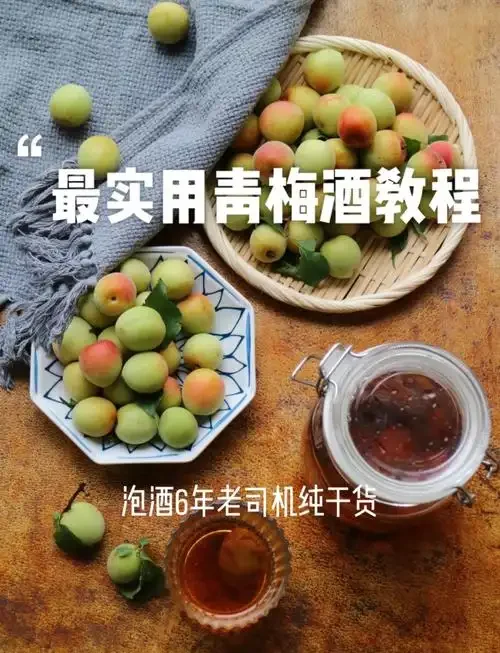 家庭自酿青果酒制作过程展示：玻璃罐中浸泡的青梅与杨梅，果肉清晰可见，酒体色泽诱人。_1