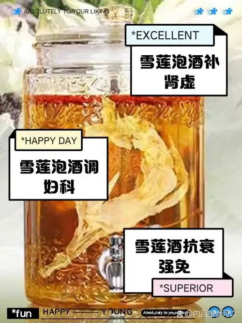 展示雪莲花泡酒的正确泡制状态:透明酒瓶中舒展的雪莲花与辅助药材。_1