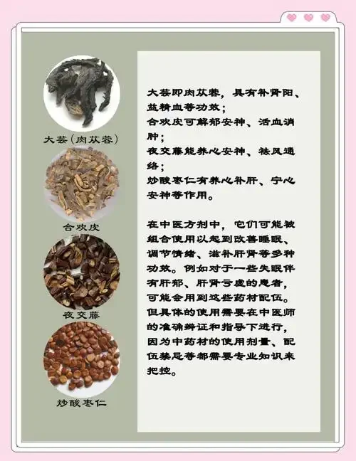 自制药酒静物图：玻璃罐中琥珀色酒液浸泡着龙眼肉、枸杞等食材，旁边散落中药材，营造传统养生氛围_1