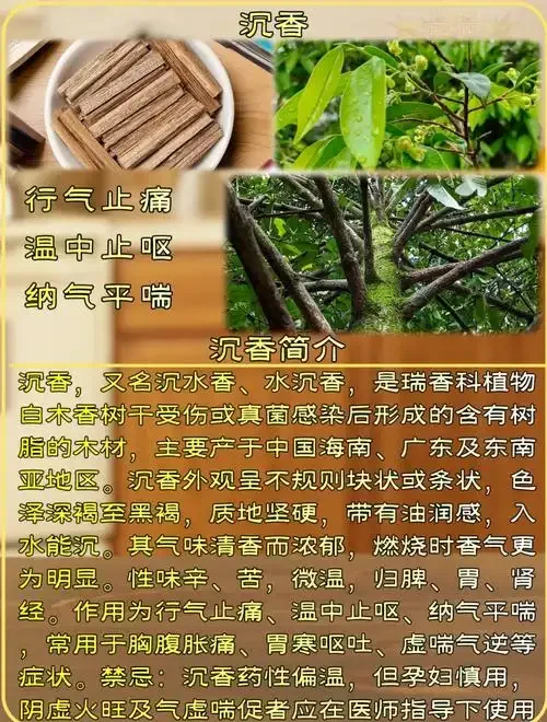 玻璃罐中正在泡制的沉香酒特写，展示出琥珀色酒液与沉香木的和谐结合。_1