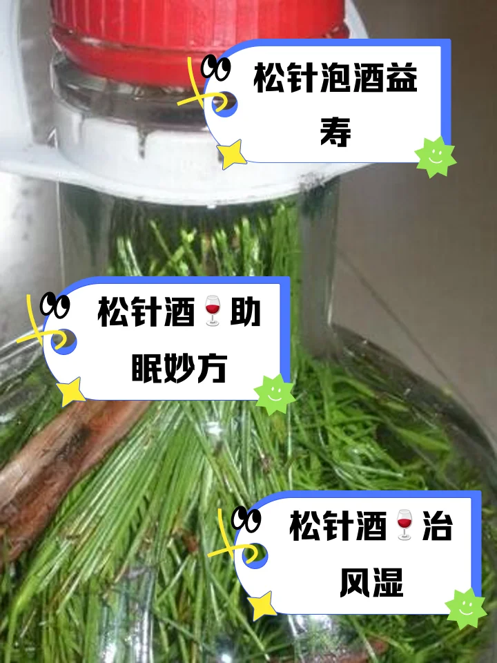 一瓶泡制好的伸筋草药酒与未处理的干燥药材、玻璃罐、纯粮白酒瓶摆放在木质桌面上的静物图。_1