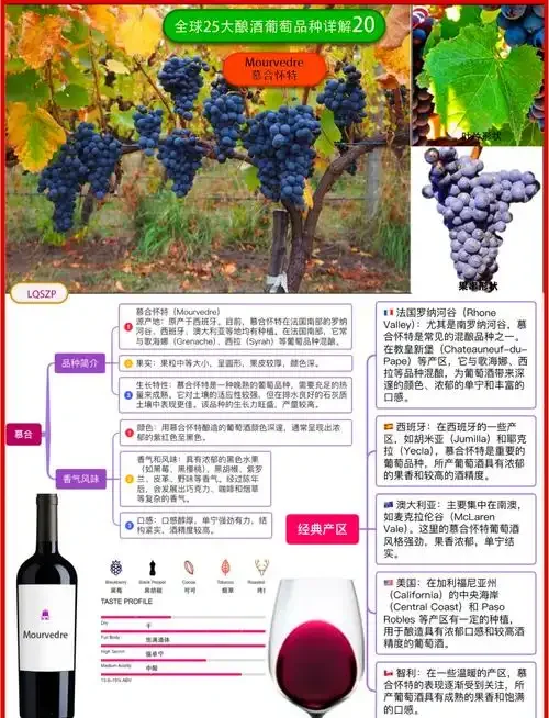 家庭自酿葡萄酒的展示：一瓶自酿葡萄酒和一杯酒置于木桌上，背景是酿酒工具_1