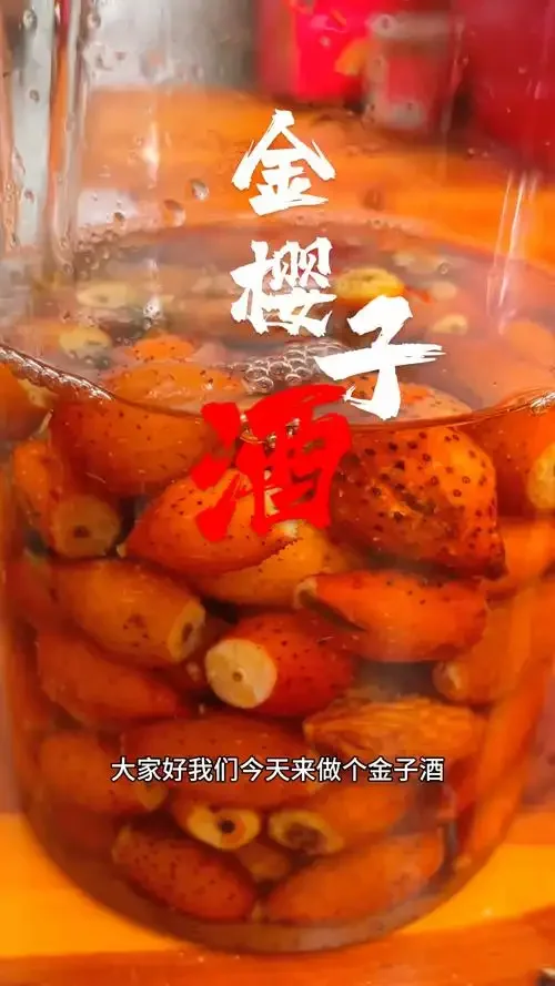 酿酒师将一瓶清澈的金樱子酒放入木质酒柜中储存，展示正确的家庭存酒方法_1
