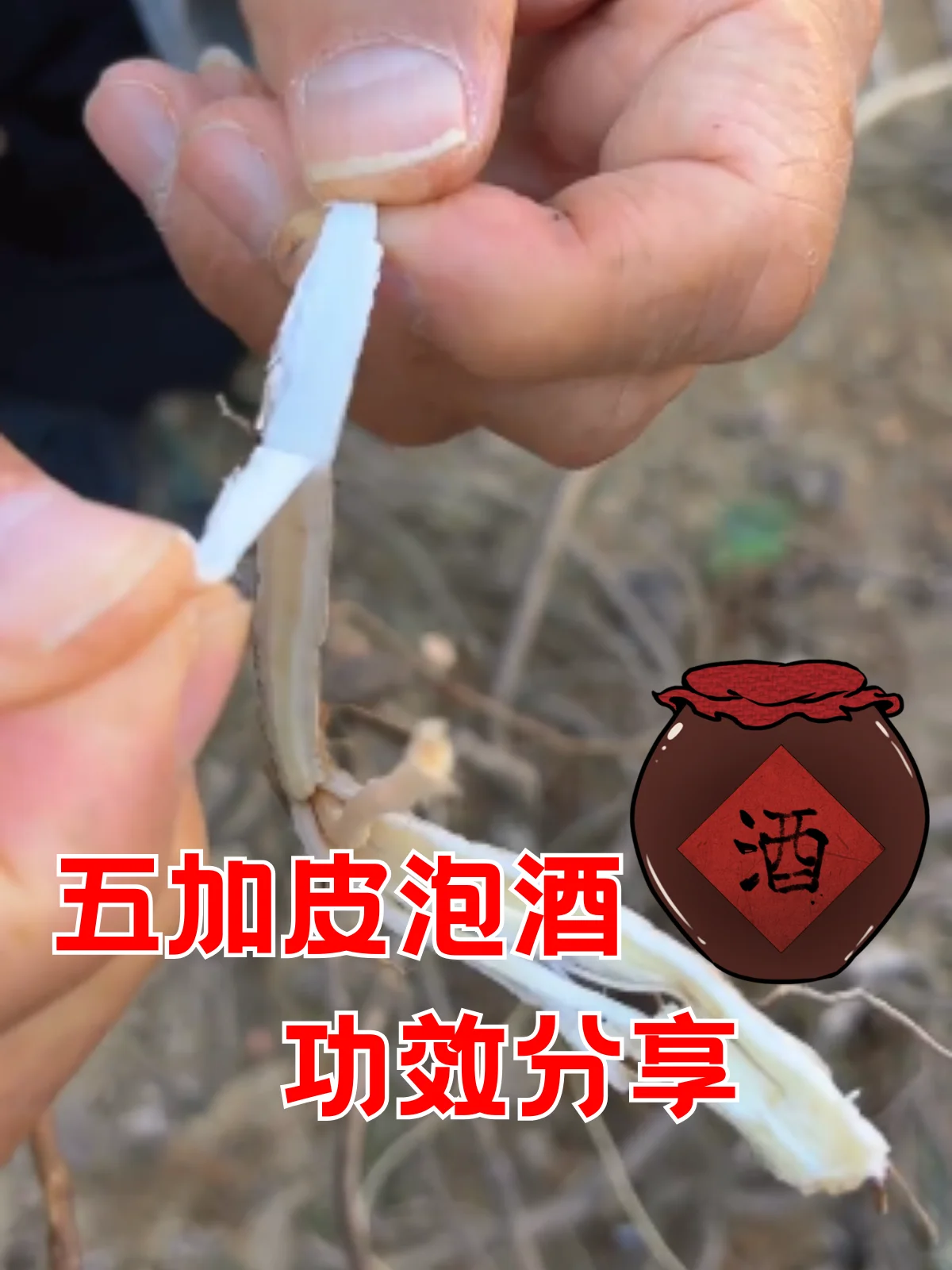 一个空置的玻璃酒坛和酿酒、医学类书籍摆放在一起，代表对老鼠崽泡酒这一民间习俗的理性探讨。_1