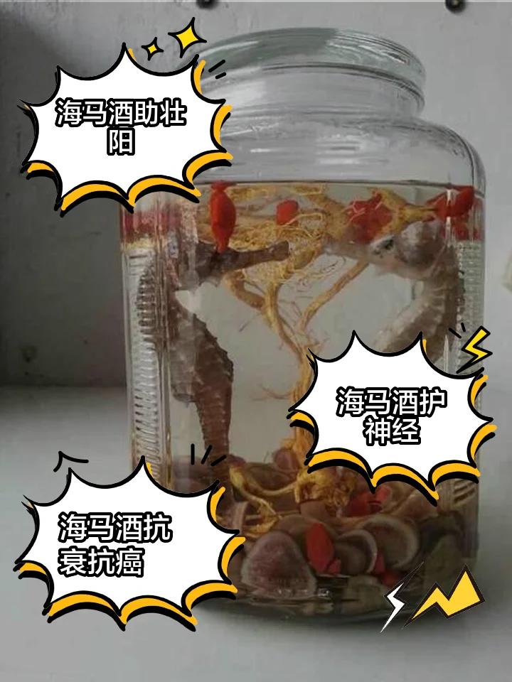 透明玻璃罐中干海马与枸杞等药材浸泡于清澈酒液中的专业酿酒场景图_1