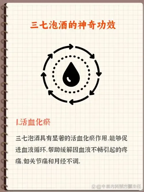 泡制中的三七根酒特写，金黄色酒体与清晰的三七根须_1