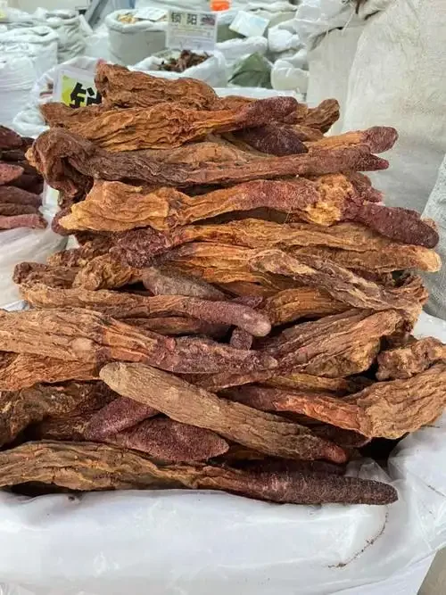 自制锁阳虫草泡酒的成品展示：透明玻璃罐中，橙黄色酒液浸泡着虫草、锁阳片、红枣等药材_1