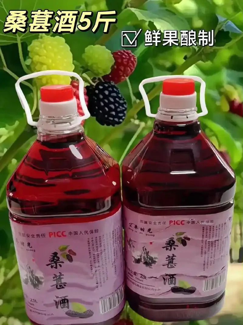 在家自制桑葚酒自然发酵过程特写：玻璃瓶中桑葚浮起并产生气泡_1