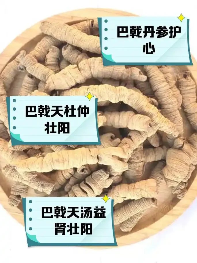 巴戟天养生药酒浸泡过程特写，玻璃瓶中浸泡着巴戟天、肉苁蓉、枸杞等药材_1