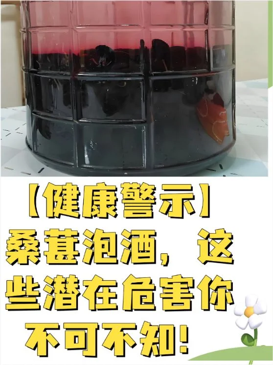 灵芝与桑葚共同浸泡在透明玻璃罐中的特写，展示泡酒原料的天然色泽与质感。_1